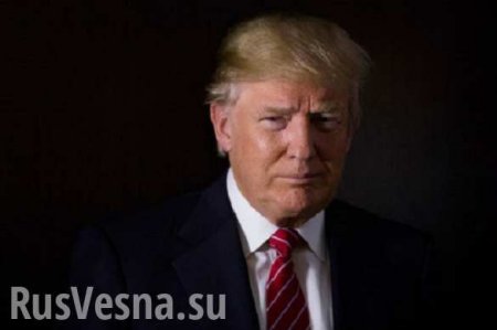 Трамп пересмотрит ряд натовских авантюр