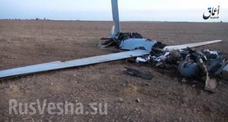 Падение «Жнеца»: Боевики ИГИЛ сбили ударный дрон ВВС США западнее Мосула (ФОТО, ВИДЕО)