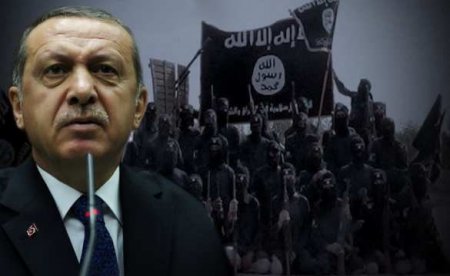 Эрдоган настроен «положить конец» Асаду