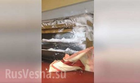 Сервис от «Укрзализныци»: пассажиров украинского поезда засыпало снегом в неотапливаемом вагоне (ФОТО, ВИДЕО)
