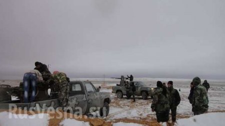 ВКС России и Армия Сирии отбрасывают ИГИЛ под Пальмирой, уничтожая боевиков и их технику (ФОТО)
