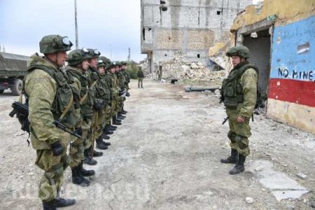 Алеппо: российские военные, БТРы и служебные собаки — впечатляющие кадры (ФОТО)