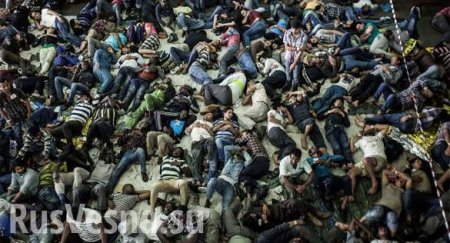 В Германии задержаны сотни мигрантов