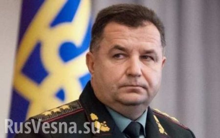 Виновных наказать: министр обороны Полторак подтвердил информацию «Русской Весны»