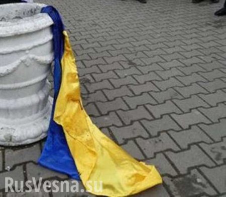 «А не пошли бы вы все в задницу»: комбат «Донбасса» предрек распад Украины из-за Минских соглашений (ВИДЕО)
