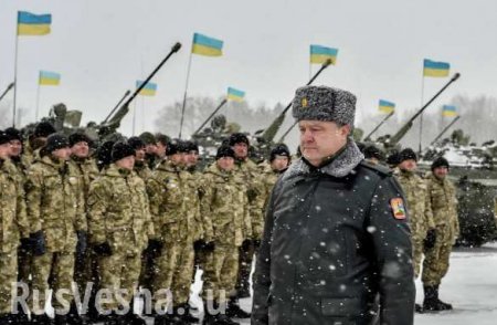 Порошенко создал над Донбассом специальную военно-воздушную зону