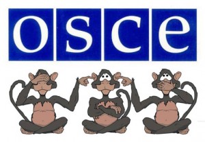 ОБСЕ выразила обеспокоенность признанием Россией документов ДНР и ЛНР
