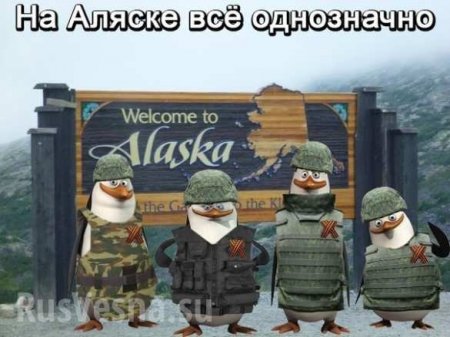 Шокирующий опрос в Киеве: Россия отобрала у Украины Аляску (ВИДЕО)