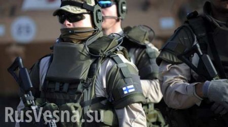 В связи с российской угрозой Финляндия поступится экологией ради обороны