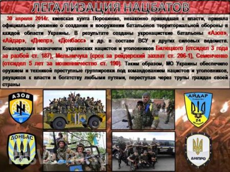 Нацизм на Украине — инфографика