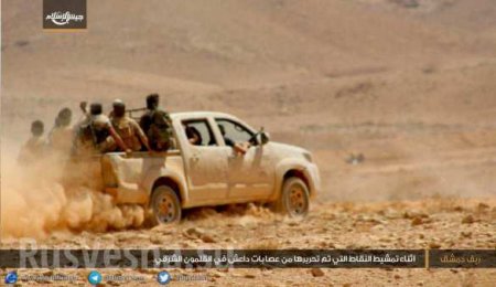 Кровавая мясорубка в Сирии: «Аль-Каида» и «оппозиция» выбивают ИГИЛ из пустыни и лагеря Ярмук (ФОТО, ВИДЕО)