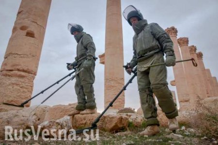 Яркие кадры: Российские военные с собаками ликвидируют «подарки» ИГИЛ в Пальмире (ФОТО)