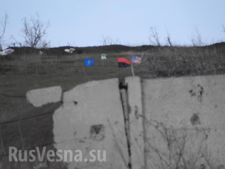Странная «независимость» — ВСУ воюют под флагами США и Ичкерии, но без флага Украины (ФОТО)