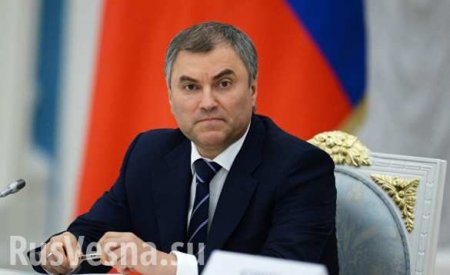 Володин не позволил спикеру ПА ОБСЕ сменить тему при разговоре о погромах российских банков на Украине