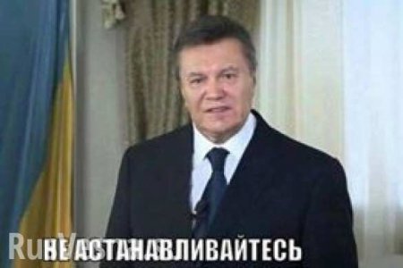 «Остановитесь!» — украинец обращается к Путину (ВИДЕО)