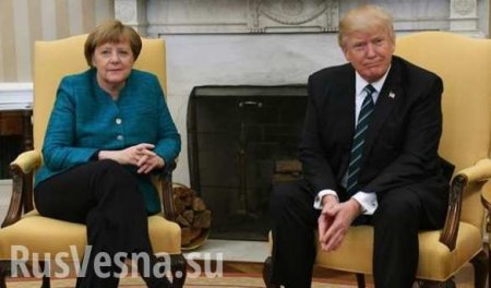 Трамп рассказал, почему не пожал руку Меркель