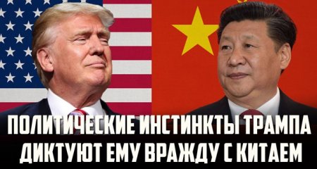 «Политические инстинкты Трампа диктуют ему вражду с Китаем»