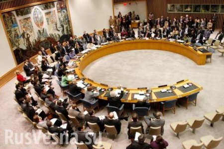 Манипуляции США уставом ООН не выдерживают никакой критики, — Сафронков