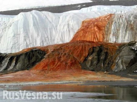 Раскрыта тайна Кровавого водопада в Антарктиде (ФОТО, ВИДЕО)