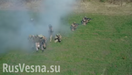 Сделай свой шаг к миру: социальный ролик от армии ДНР (ВИДЕО)