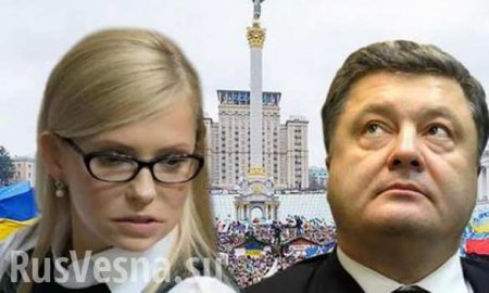 В Совфеде высмеяли Тимошенко, назвавшую Порошенко «негодяем»
