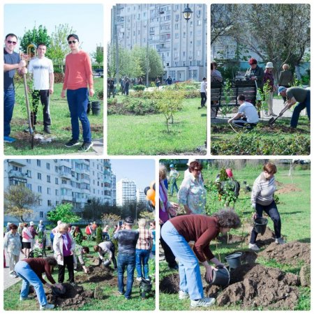 В Одессе вандалы уничтожили аллею берёз в память жертв 2 мая (ФОТО)