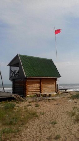 Ответственное дело: снимать красный флаг с дачного домика под Одессой лично полез начальник полиции
