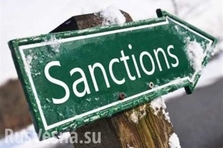 Россия потребует реакции на санкции Киева от всех структур ОБСЕ