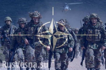 НАТО следует заняться борьбой с терроризмом, а не «российской угрозой», — МИД