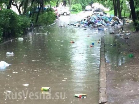 Львов затопило: мусор поплыл по улицам (ФОТО)