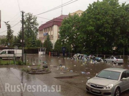 Львов затопило: мусор поплыл по улицам (ФОТО)