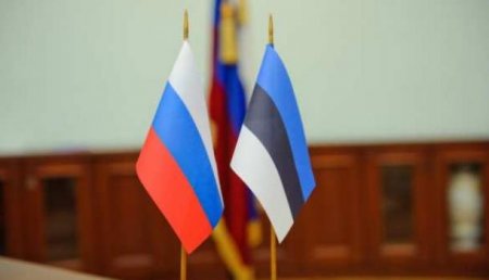Эстонский политик прокомментировала высылку российских дипломатов