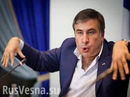 «Ты лизал мои ноги, милый», — Саакашвили поругался с чиновником в Одесской области (ВИДЕО)