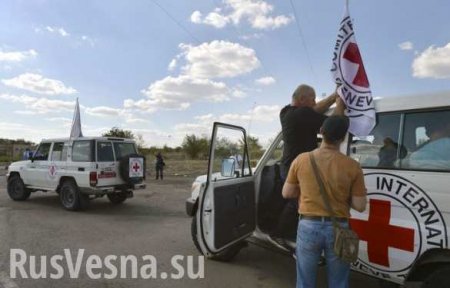 Международные миссии в Донбассе — объект атак спецслужб Украины (ВИДЕО)