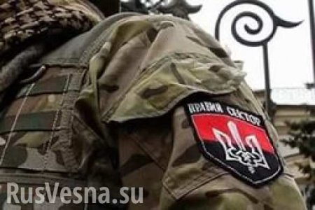 В Австрии отпустили обвиняемого в военных преступлениях в Донбассе