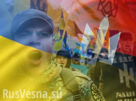 «На Украине есть нацюки — гибрид националиста с крысой», — украинский политолог (ВИДЕО)