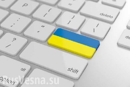 Ни друзей, ни сообщений — новая соцсеть для украинцев (ВИДЕО А. Шария)