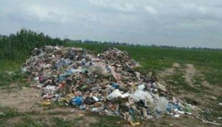 От всей души: Под Киевом незаконно сбросили 60 тонн львовского мусора