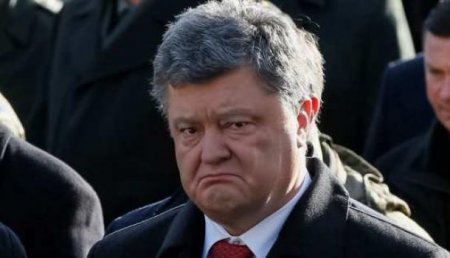 В честь Порошенко: На ток-шоу Саакашвили девушка-снайпер исполнила песню «Шоколадная зад…а»