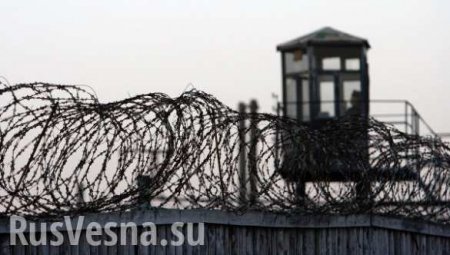 Европа призывает Украину расследовать факты жестокого обращения с заключенными
