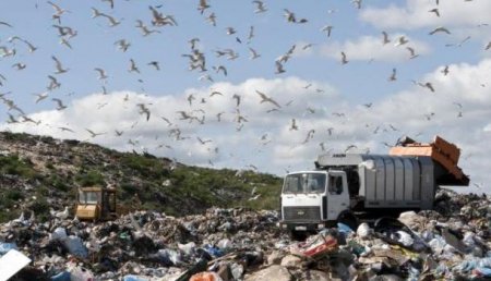 Тайный город Эльдорадо: в Киеве обещают за две недели вывести весь львовский мусор «в тайное место»