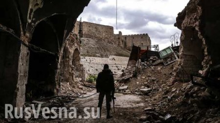 Россия предложила разместить военных из Казахстана и Киргизии в зонах деэскалации в Сирии