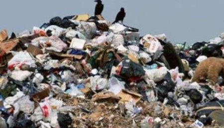 Может у вас лучше получится: Власти Львова согласились передать области функции по вывозу мусора