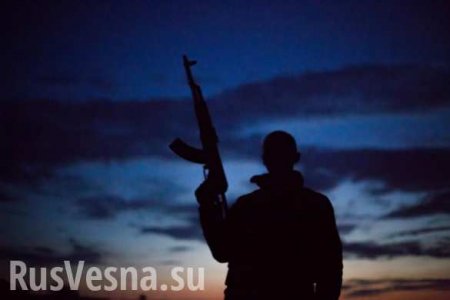 «Где партизанские отряды в горах Крыма?!» — в Раде обвинили меджлис