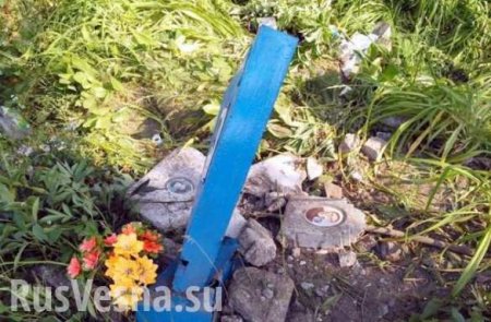 На Украине пьяные выпускники угнали автобус и разгромили на нем кладбище (ФОТО, ВИДЕО)