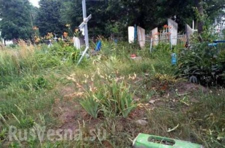 На Украине пьяные выпускники угнали автобус и разгромили на нем кладбище (ФОТО, ВИДЕО)