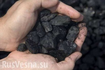 Украина попросила США поставить ей миллионы тонн угля, — Трамп