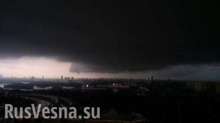 В Москве шторм убил одного человека, еще 16 пострадали