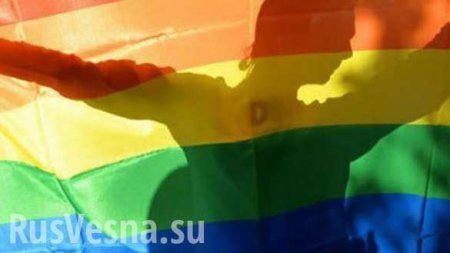 Германия отгораживается от России гей-кордоном