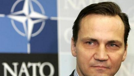 Польский экс-министр верит, что Украина вернет Донбасс к 2060 году